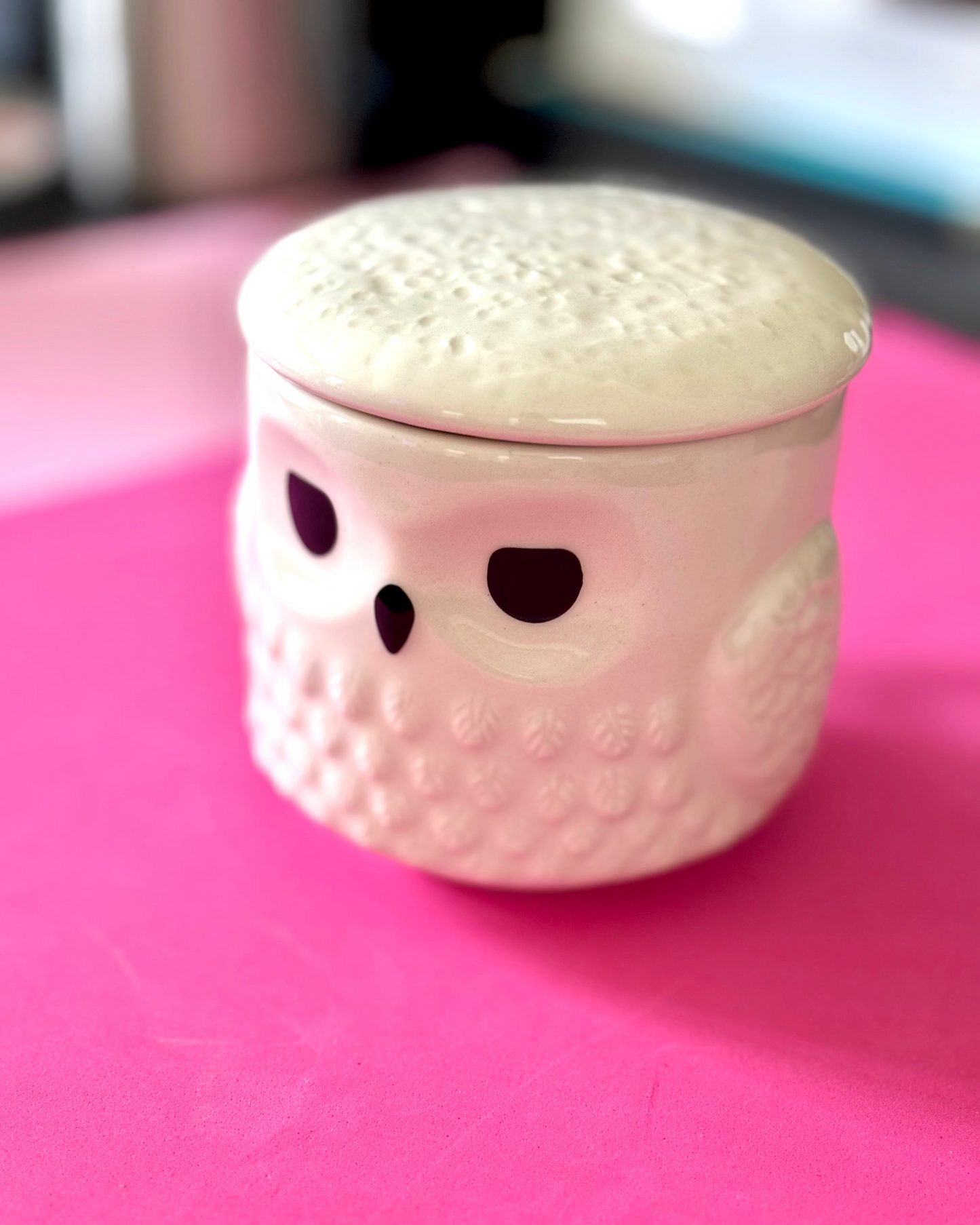 Harry Potter: Hedwig Ceramic Mug with Lid