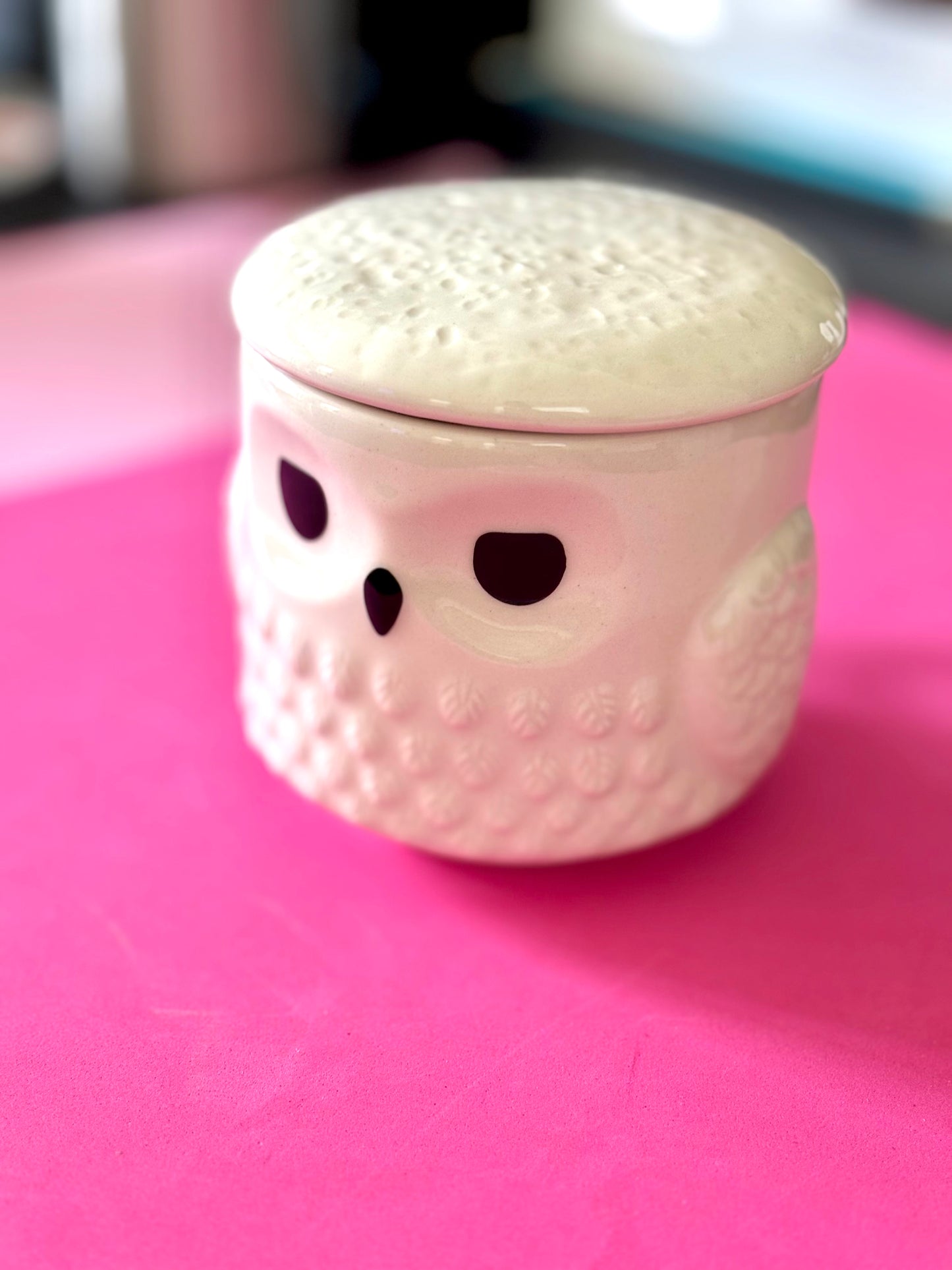 Harry Potter: Hedwig Ceramic Mug with Lid