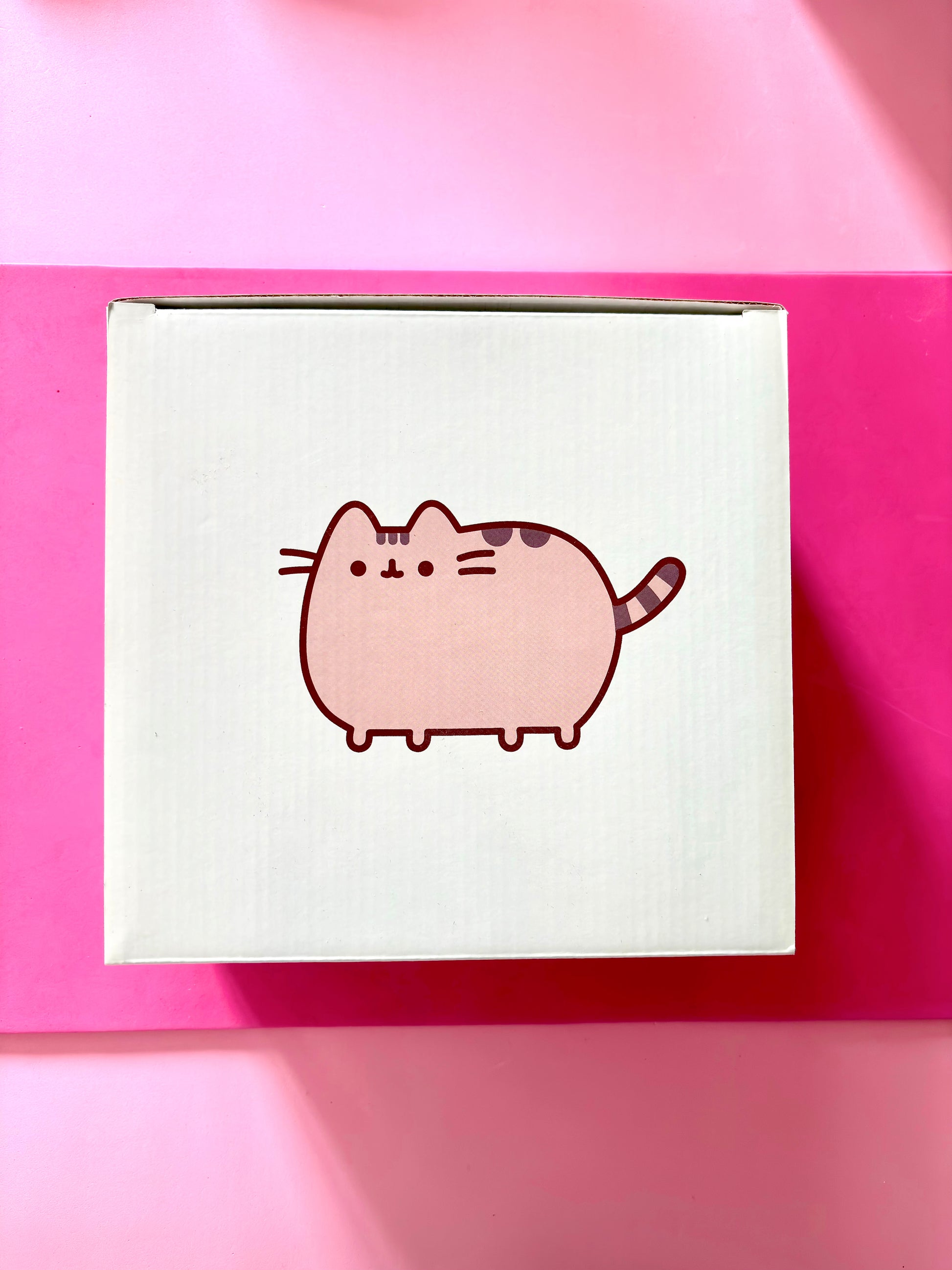 A square mint green product box featuring a cartoon illustration of Pusheen the cat in pink and brown, set against a vibrant pink background.