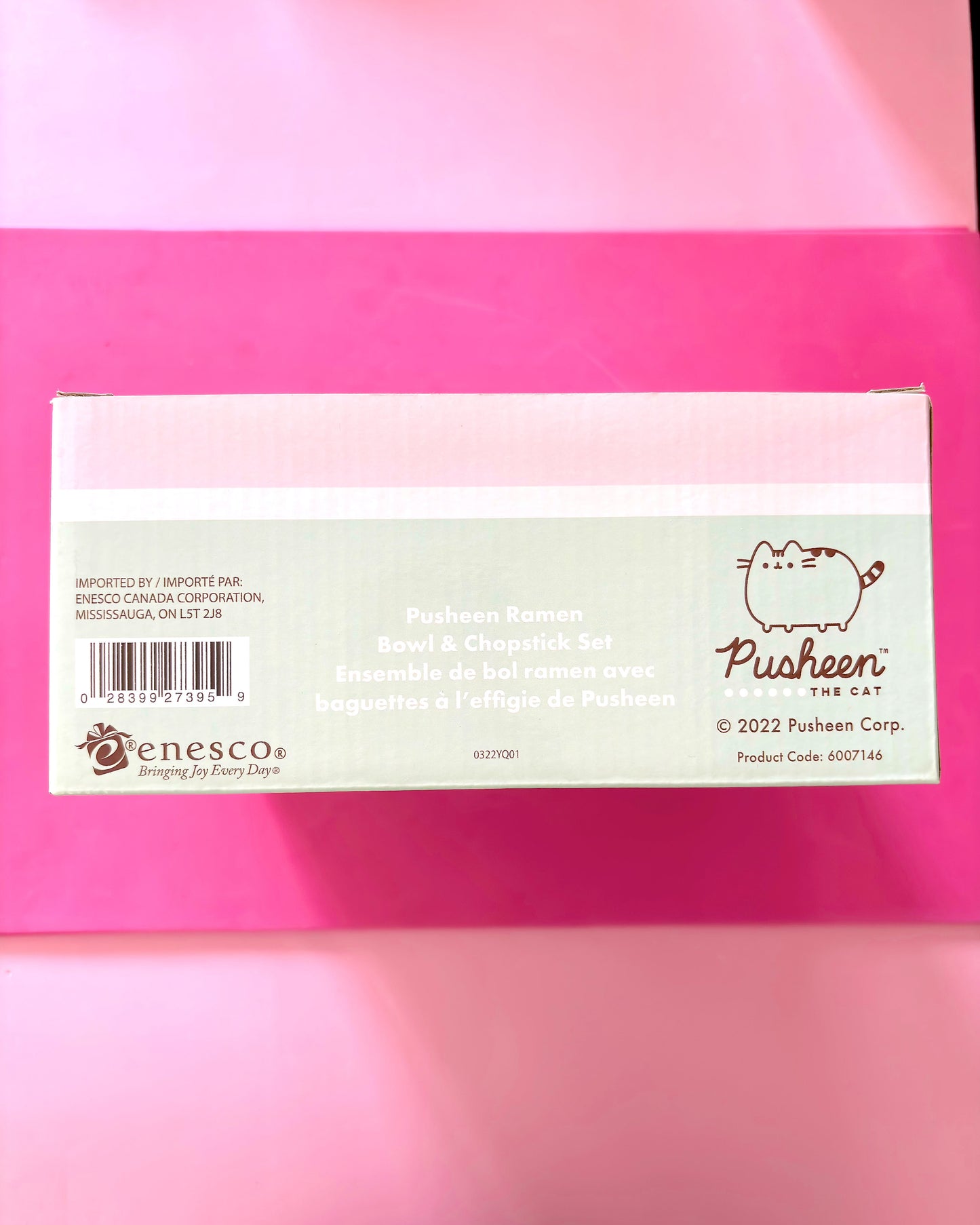 A Pusheen Bowl & Chopstick Set box by Enesco, featuring a light green and white label with the Pusheen cat logo, photographed on a vibrant pink background.
