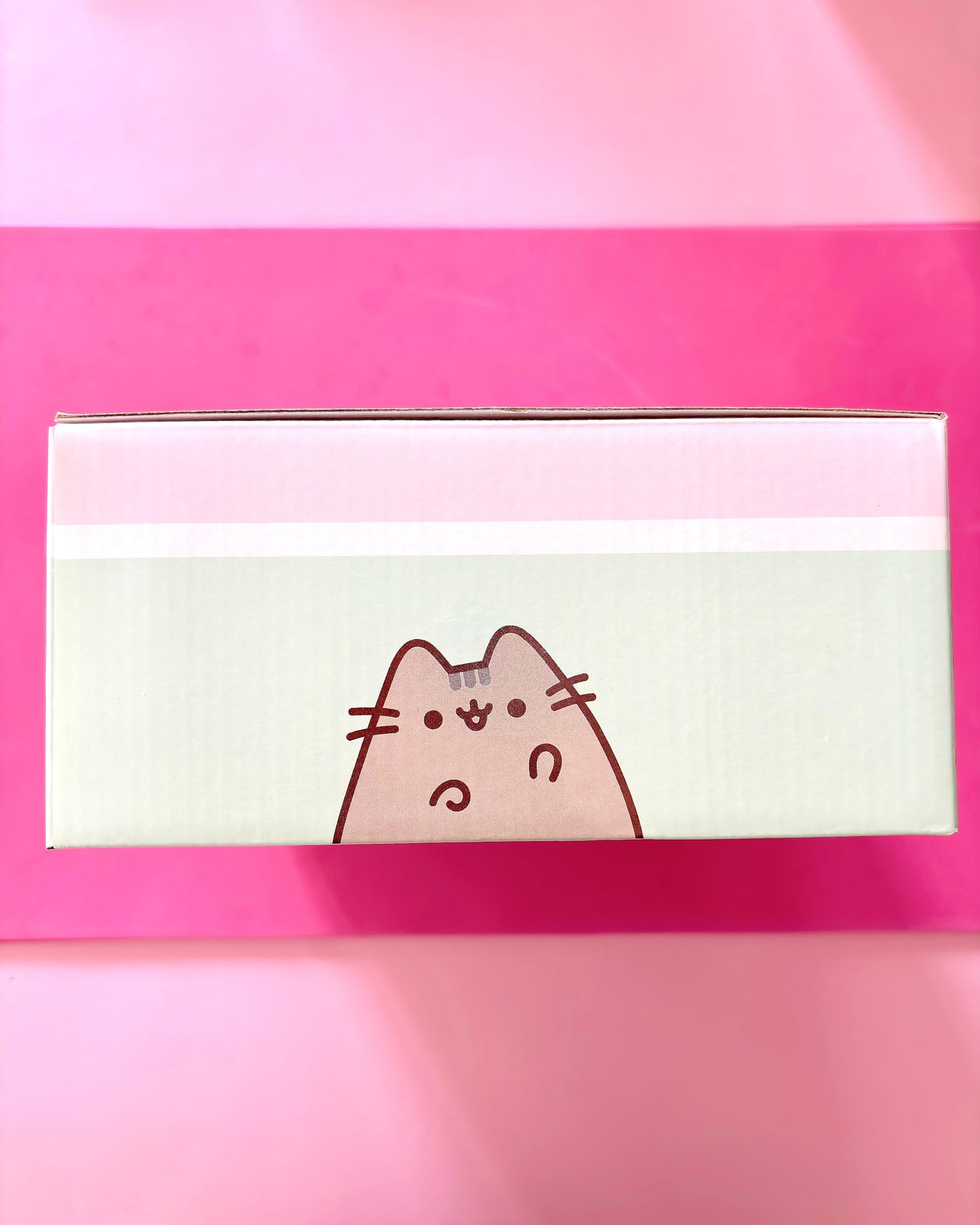 A rectangular product box featuring a cartoon cat face on a pale green front panel, photographed against a bright pink background.