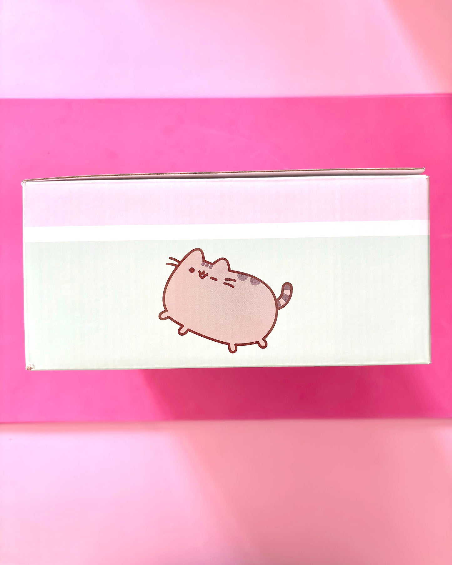 A Pusheen-themed product box featuring the character Pusheen the cat printed on the front, set against a bright pink background.