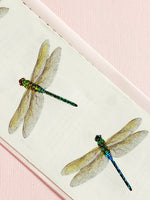 Mrs Grossman's dragonfly stickers closeup