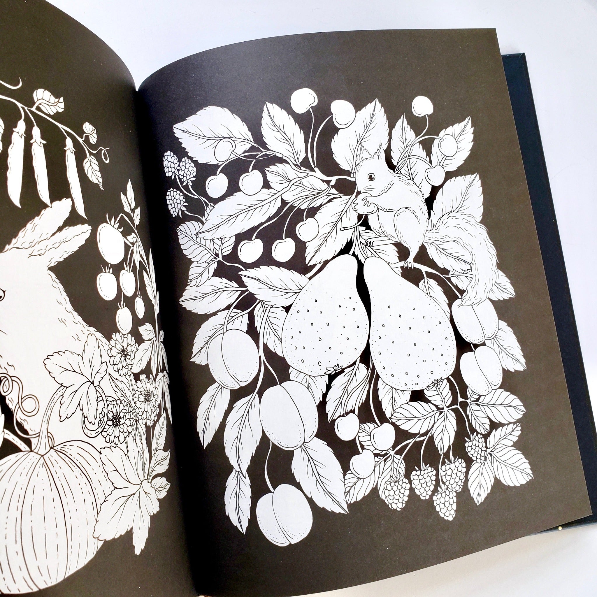 Luna hardcover coloring book garden coloring page