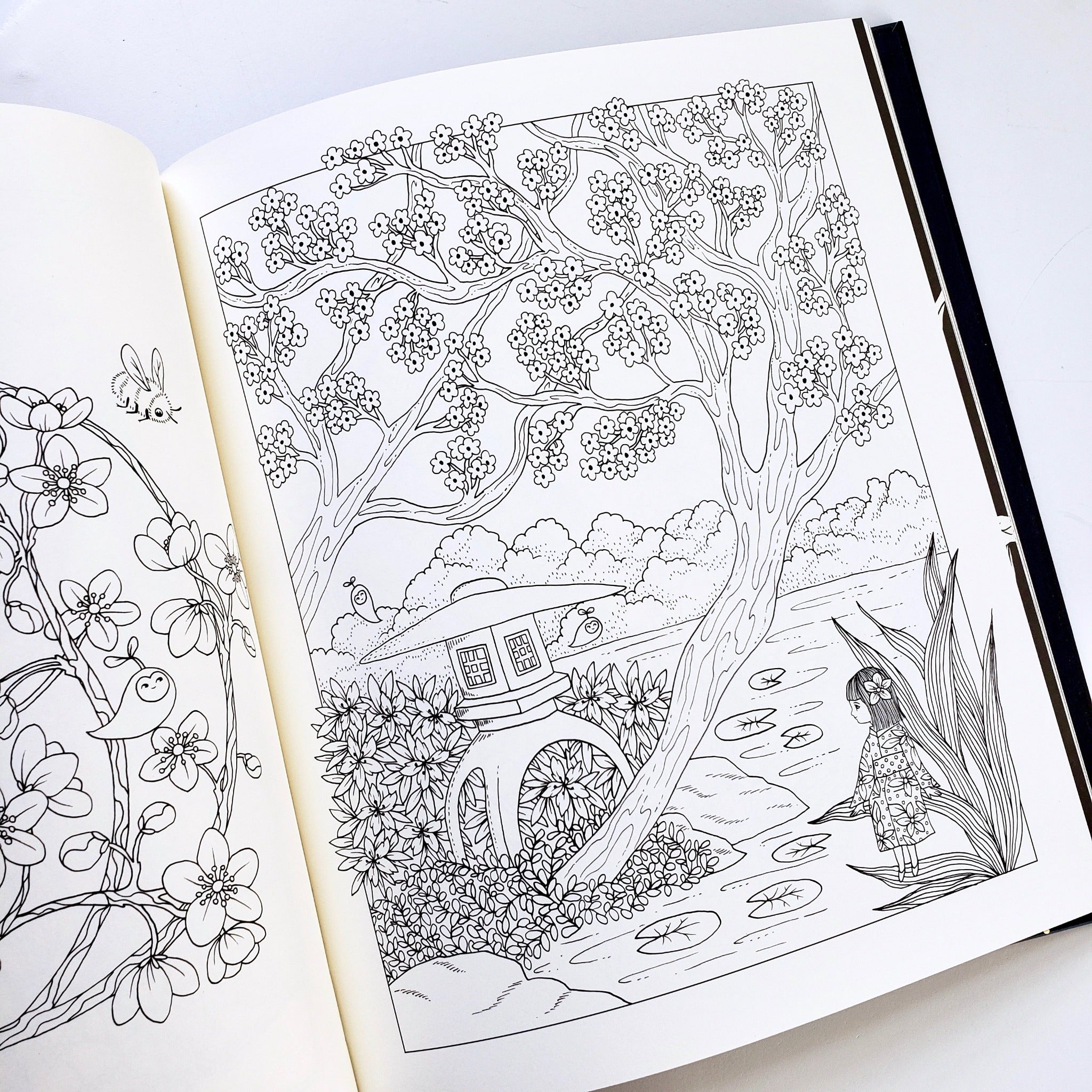 Luna hardcover coloring book cherry blossom garden