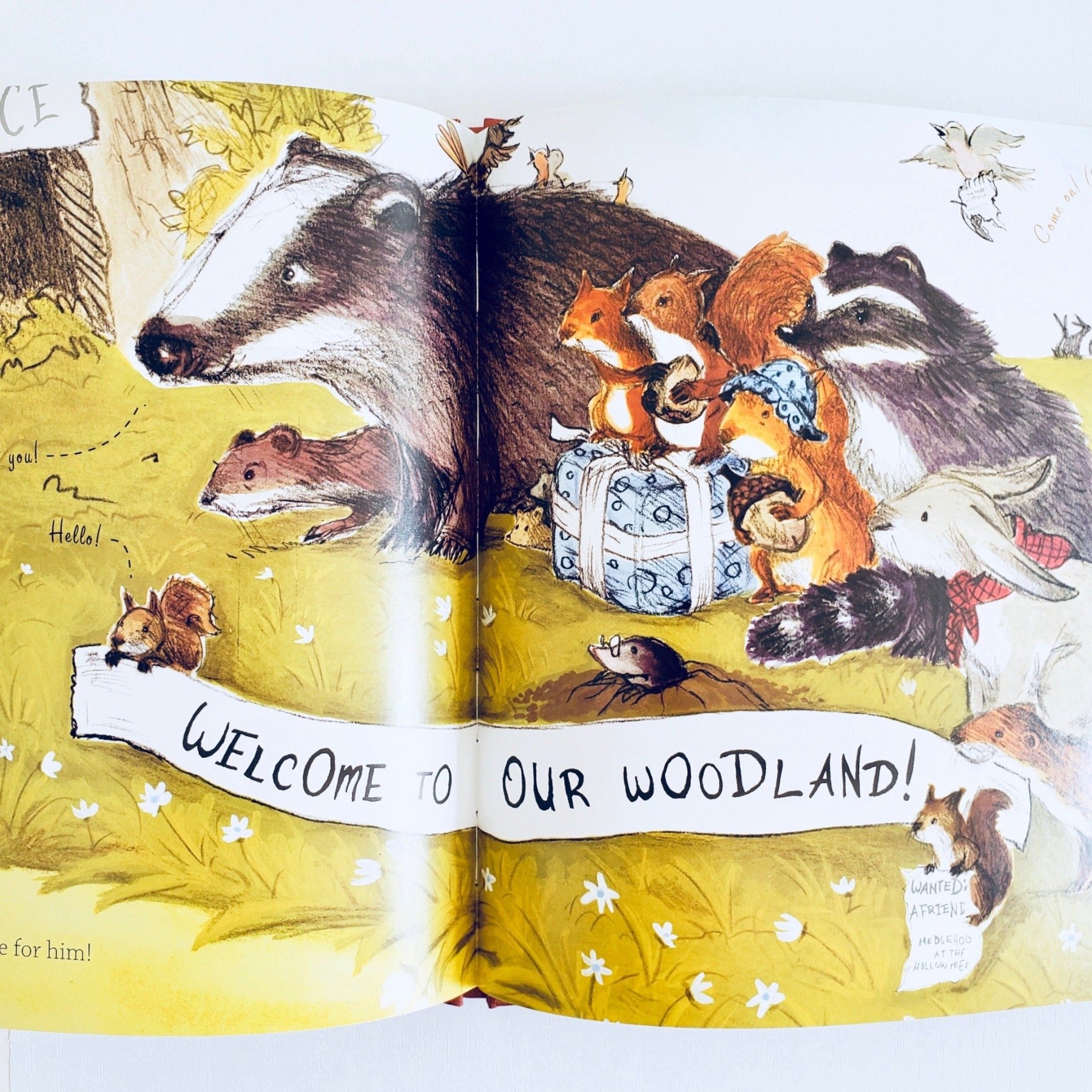 The New Arrival inside pages